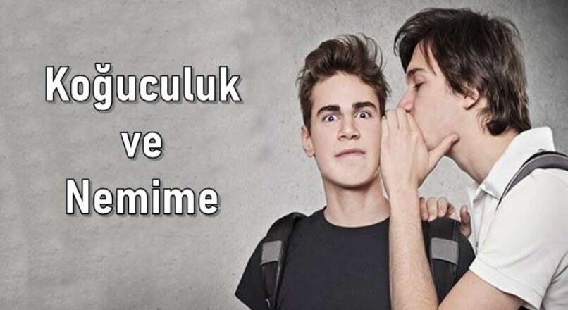 Koğuculuk nedir?