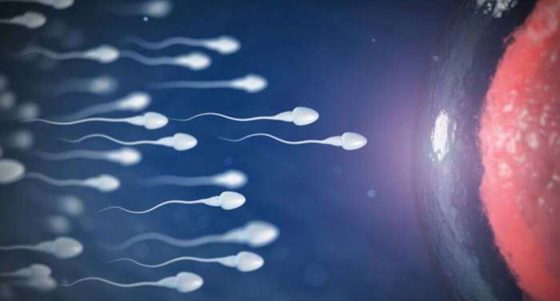 Durduk yere sperm gelir mi