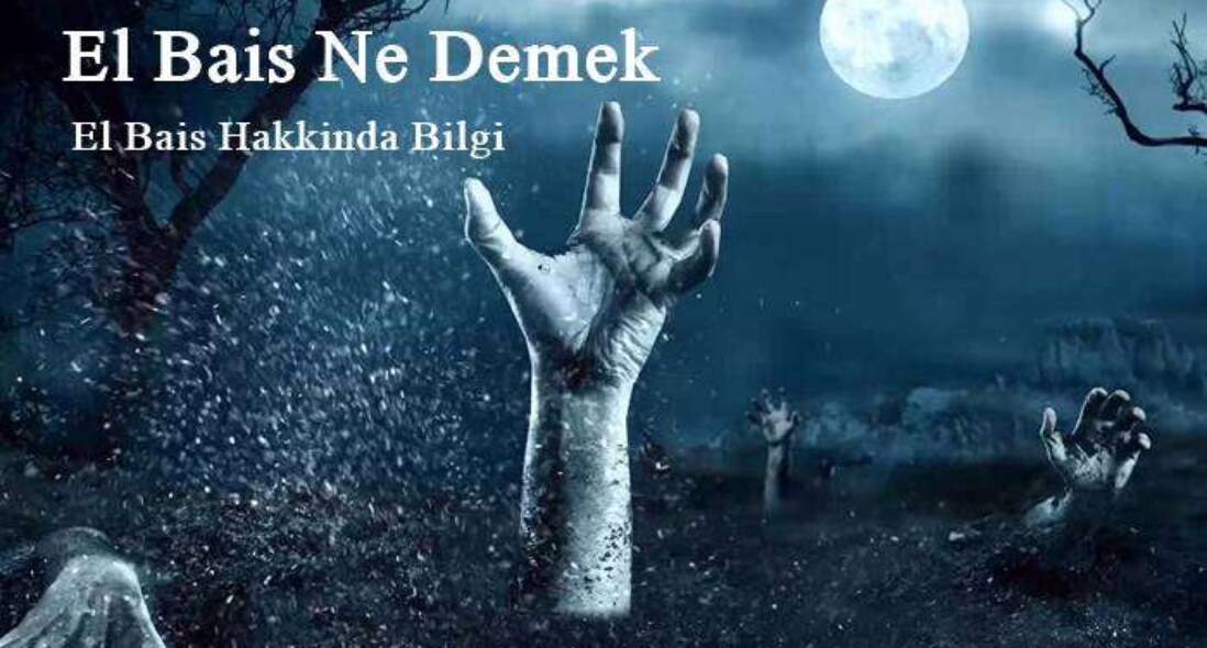 El Bais Ne Demek El Bais Hakkında Bilgi